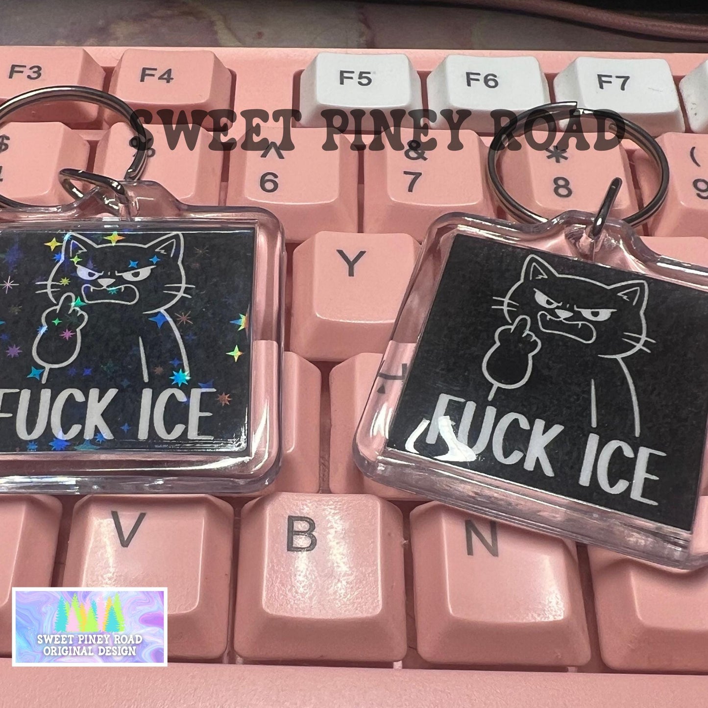 Fck ICE Cat Keychain, Abolish ICE Political Bag Charm, Chinga La Migra, Anti Trump Protest Bag Tag, FDT Gift For Democrat Acrylic Key Chains