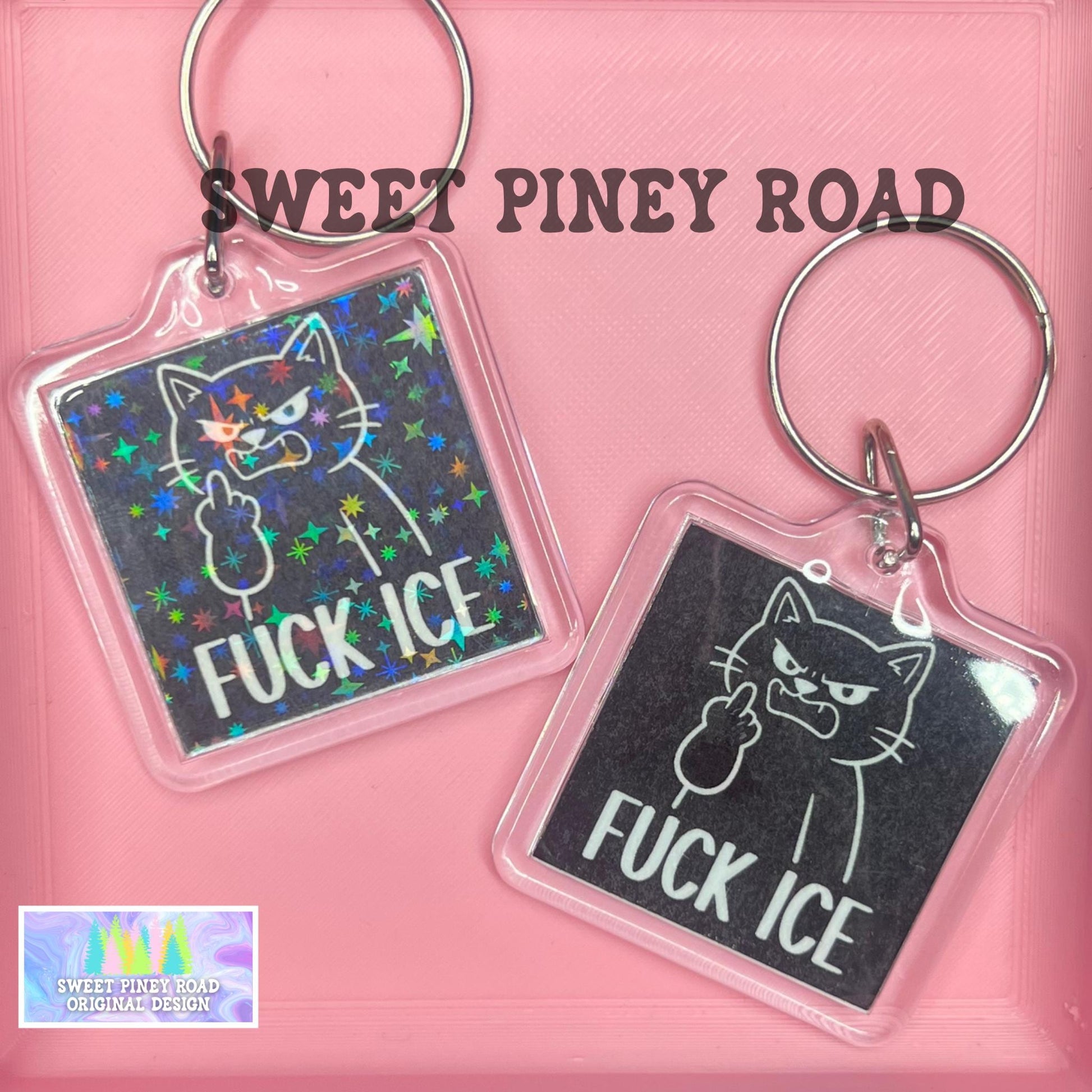 Fck ICE Cat Keychain, Abolish ICE Political Bag Charm, Chinga La Migra, Anti Trump Protest Bag Tag, FDT Gift For Democrat Acrylic Key Chains