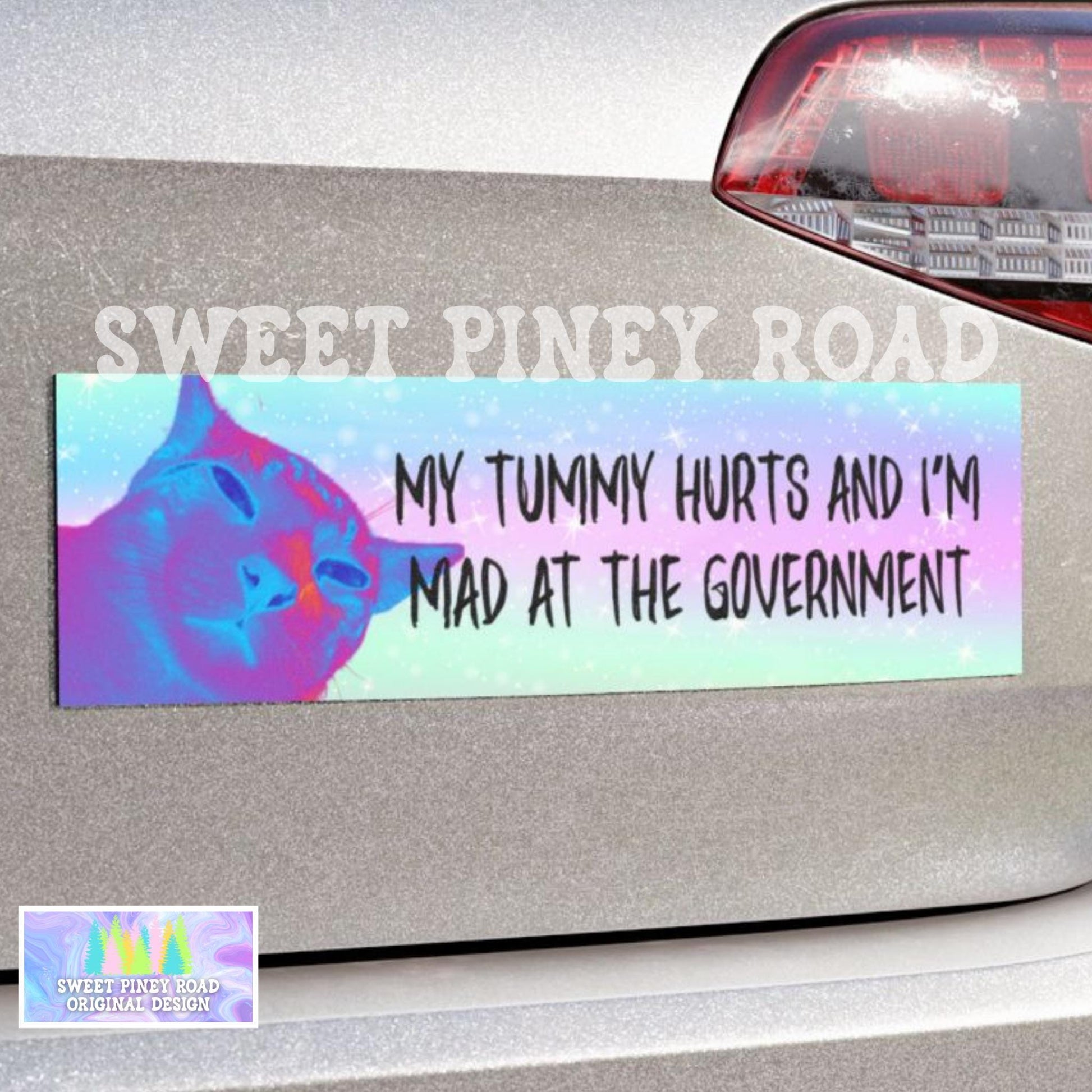 My Tummy Hurts and I’m Mad at the Government Car Magnet, Funny Bumper Sticker, Unhinged Cat Vehicle Decal, Anti-Trump FDT Y2k Gift