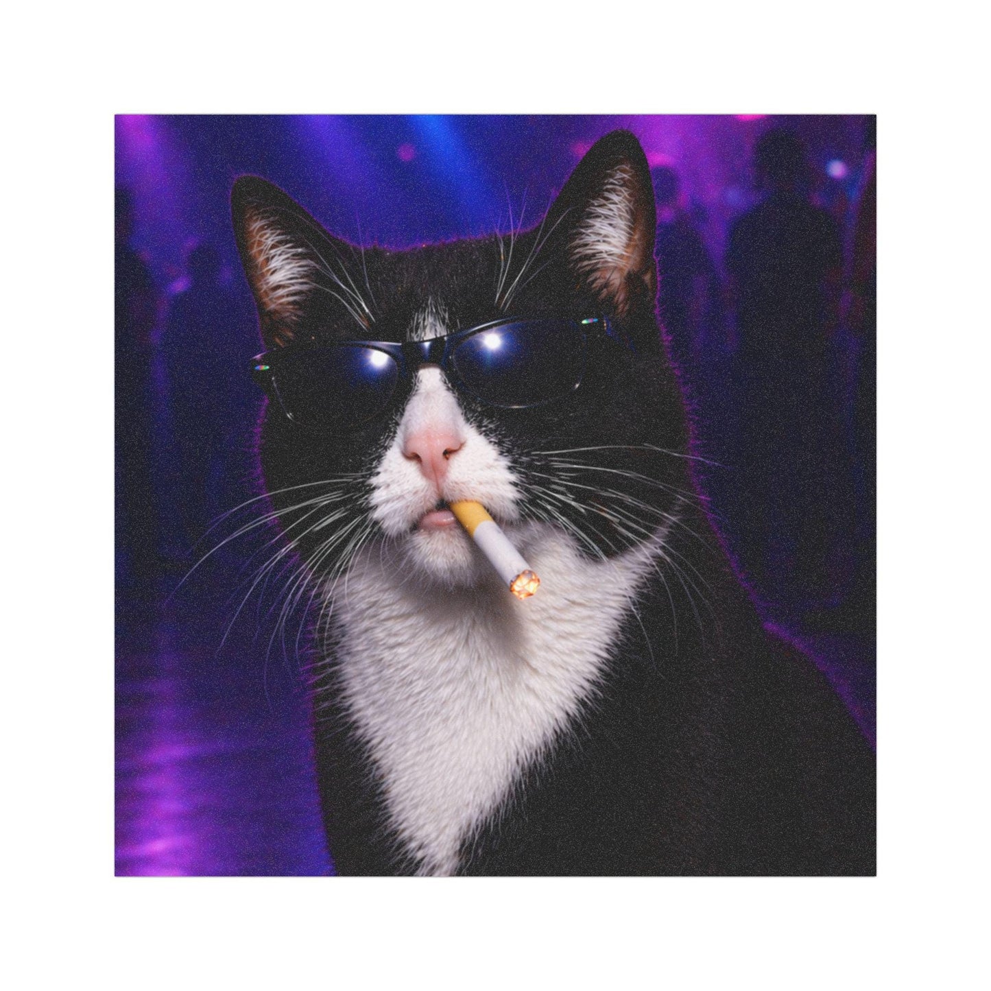 Tuxedo Cat Bumper Magnet, Funny Kitty Lover Bumper Sticker, Animal Lover Gag Gift Idea, Hilarious Car Waterproof Decal