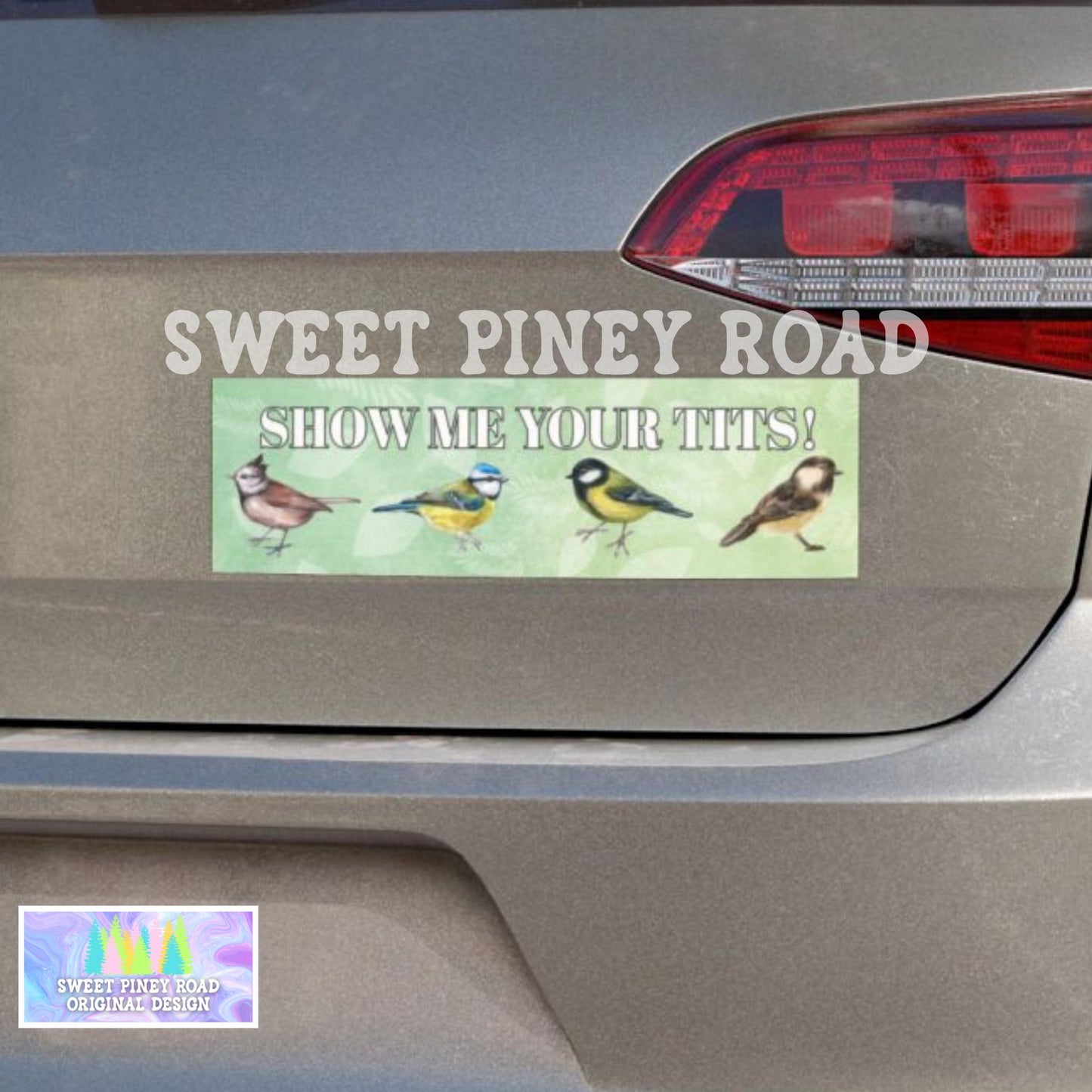 Show Me Your Tits Bird Car Magnet, Funny Bumper Sticker, Gag Gift For Bird Lover, Ornithology Humor for Nature Lovers