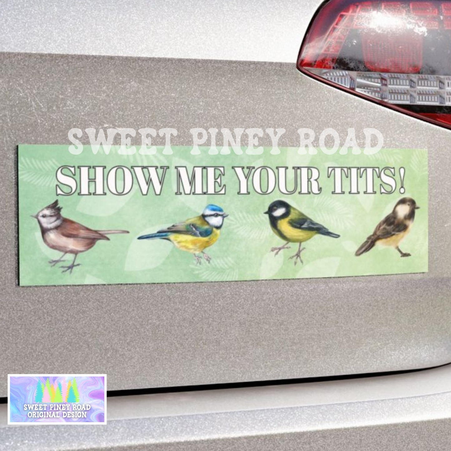 Show Me Your Tits Bird Car Magnet, Funny Bumper Sticker, Gag Gift For Bird Lover, Ornithology Humor for Nature Lovers