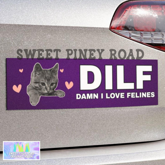 DILF Damn I Love Felines Car Magnet, Hilarious Cat Lover Bumper Sticker