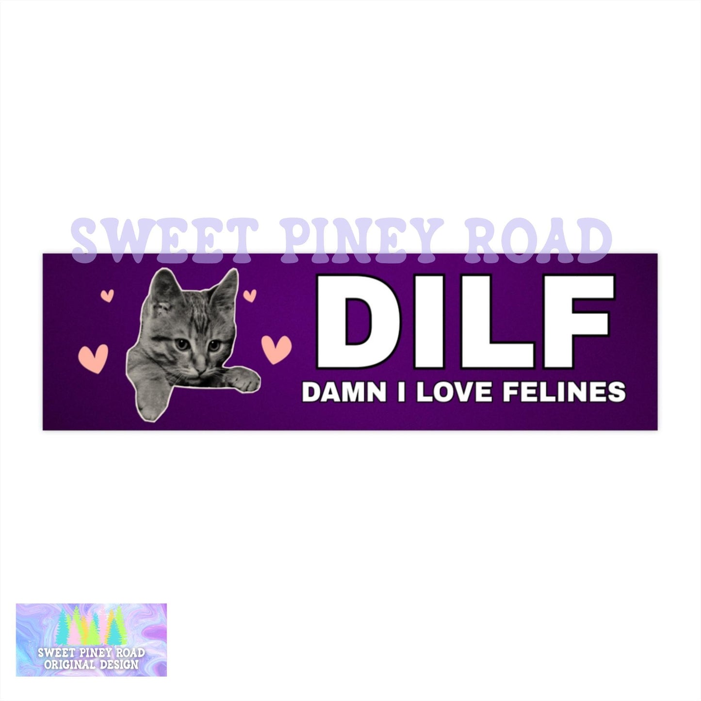 DILF Damn I Love Felines Car Magnet, Hilarious Cat Lover Bumper Sticker