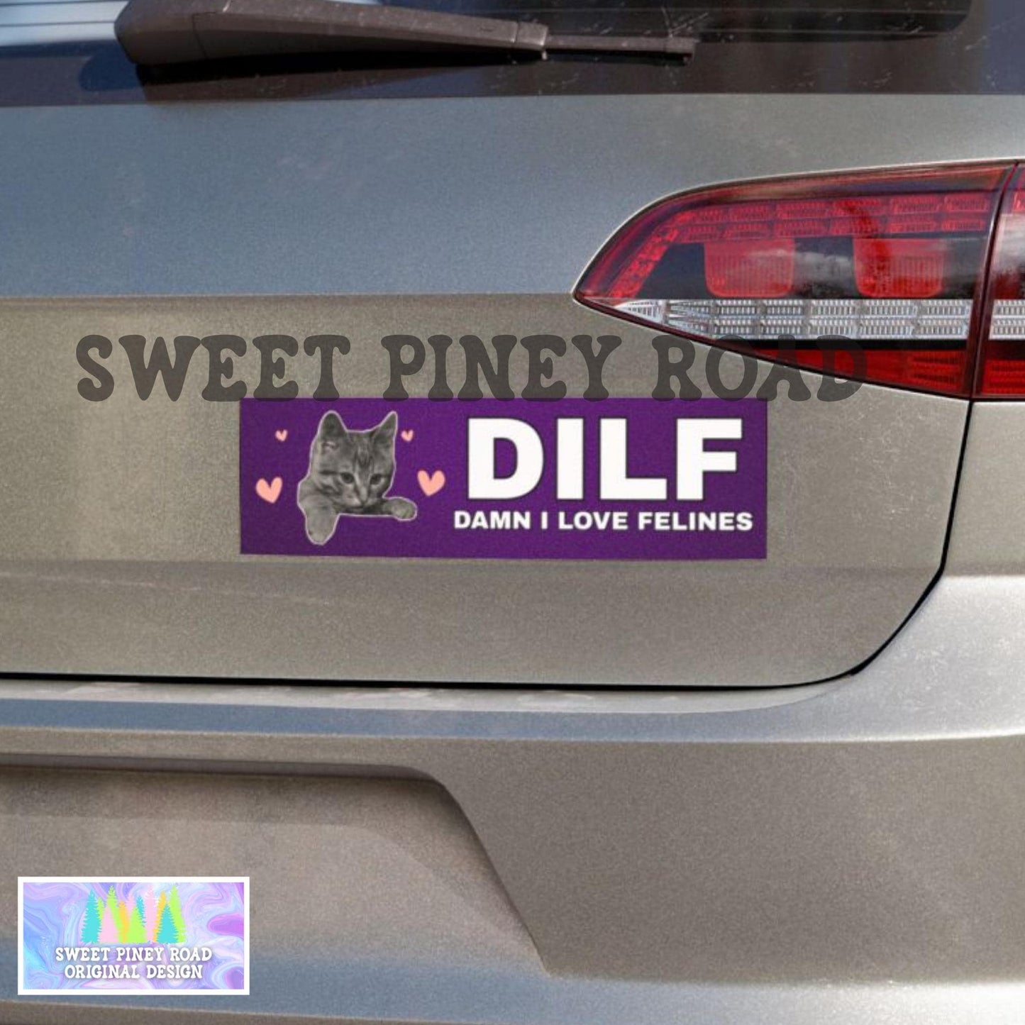 DILF Damn I Love Felines Car Magnet, Hilarious Cat Lover Bumper Sticker