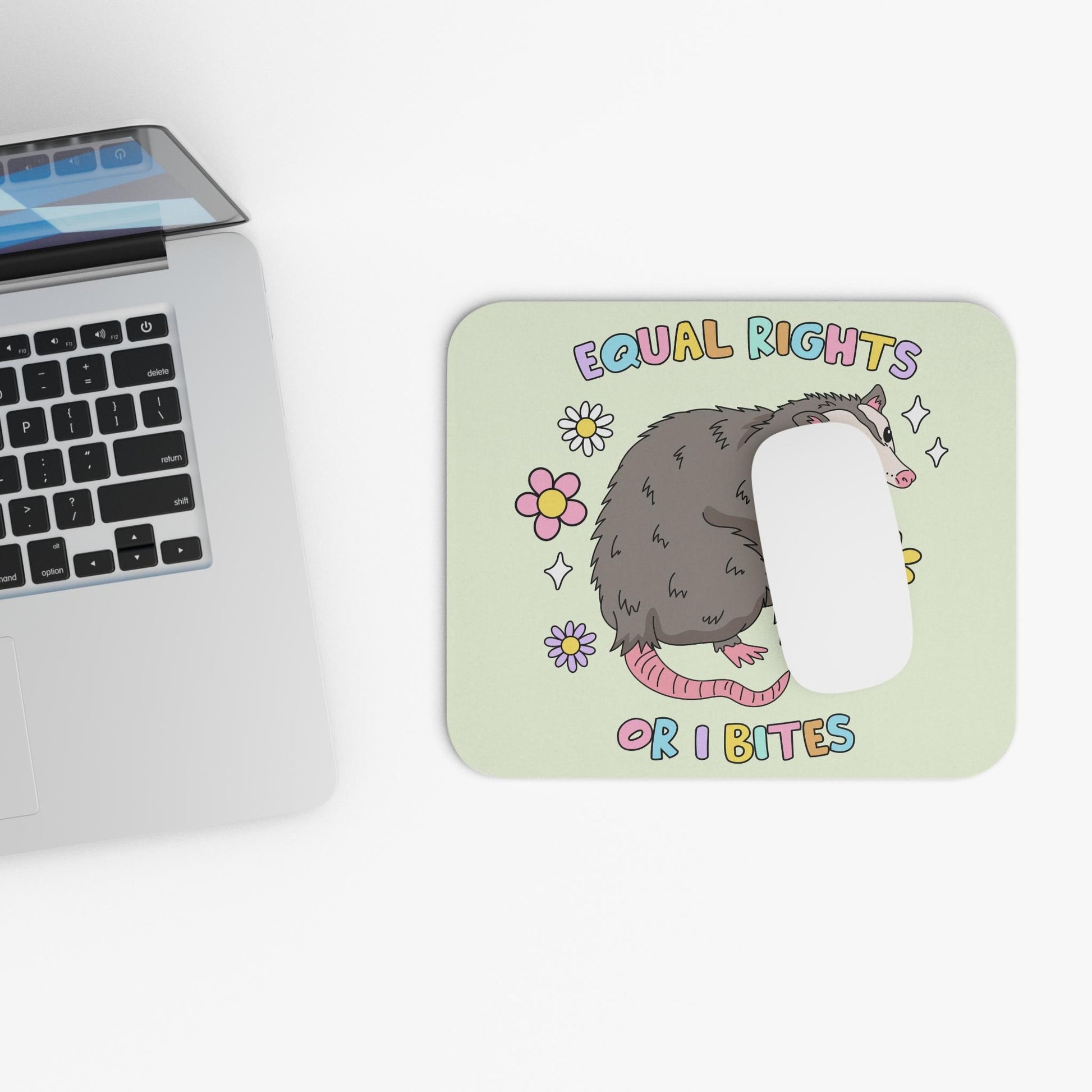 Equal Rights Possum Mouse Pad, Opossum Lover FDT Office Decor, Anti-Trump Gift