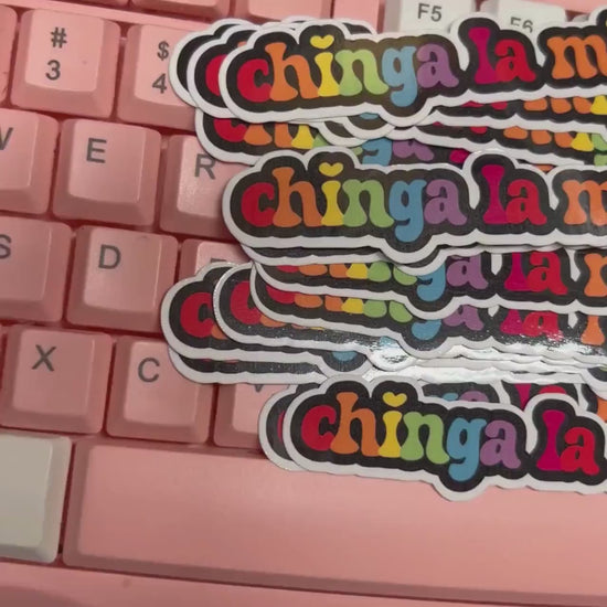 Chinga La Migra 10/20 pc 4"x.8"in. Glossy Sticker Pack | Rainbow Immigration Rights - Political Satire Decal for Protest & Activism Fuck Ice