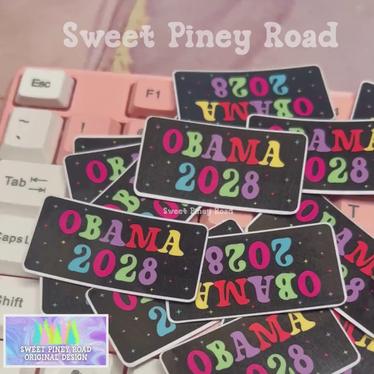 Obama 2028 Rainbow Sticker Pack, Anti Trump Sticker, Leftist Protest Gift, Democrat Progressive Stickers, Cute Activism Resist Subtle FDT