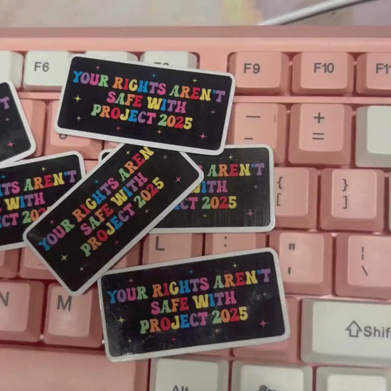 No Rights Project 2025 25/50pc Sticker Pack, 2 Inch Glossy Decal, We Did That, Anti Trump Stickers, Anti Fascist, Anti Racist LGBTQ+ FDT