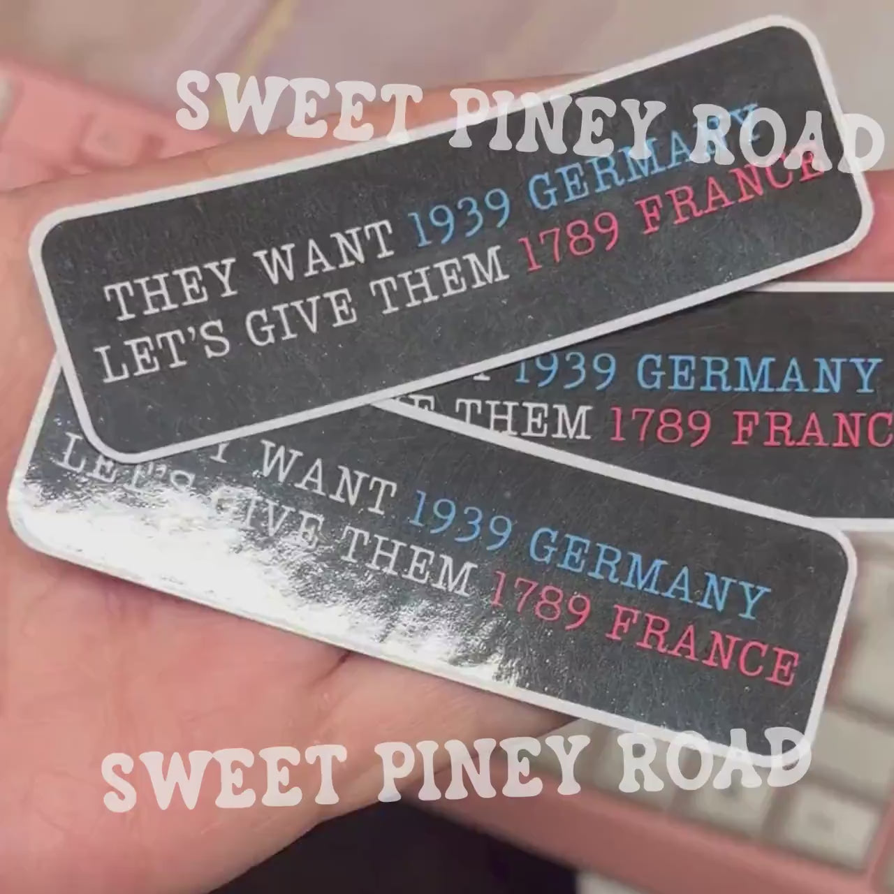 They Want 1939 Germany, Let's Give Them 1789 France, Anti Trump Political Sticker Pack Glossy 15 or 30 pc 3 in Resisting Fascism, Anti Elon